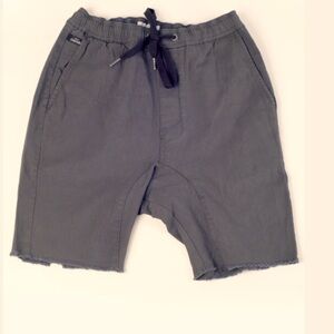 Men’s medium project zanerobe shorts